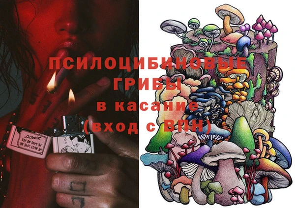 ECSTASY Алзамай