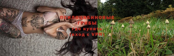 apvp Балабаново