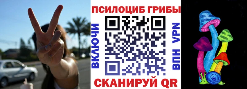 OMG ссылки  Пермь  Псилоцибиновые грибы мицелий 
