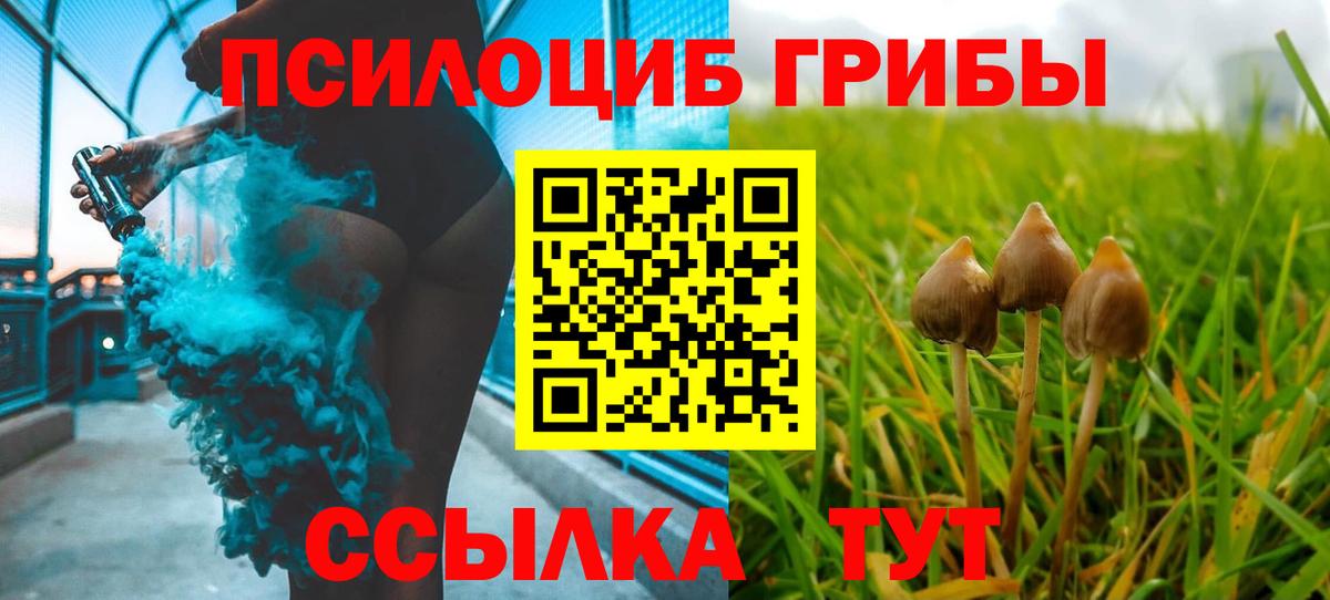 Галлюциногенные грибы Psilocybine cubensis Пермь