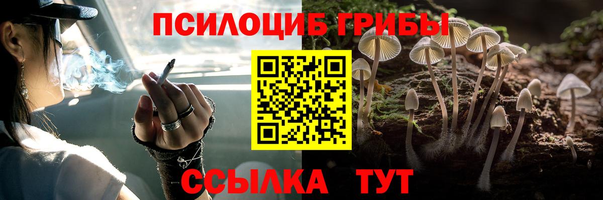 Пермь  сколько стоит  Галлюциногенные грибы Psilocybe  Вход с VPN  Галлюциногенные грибы мухоморы 